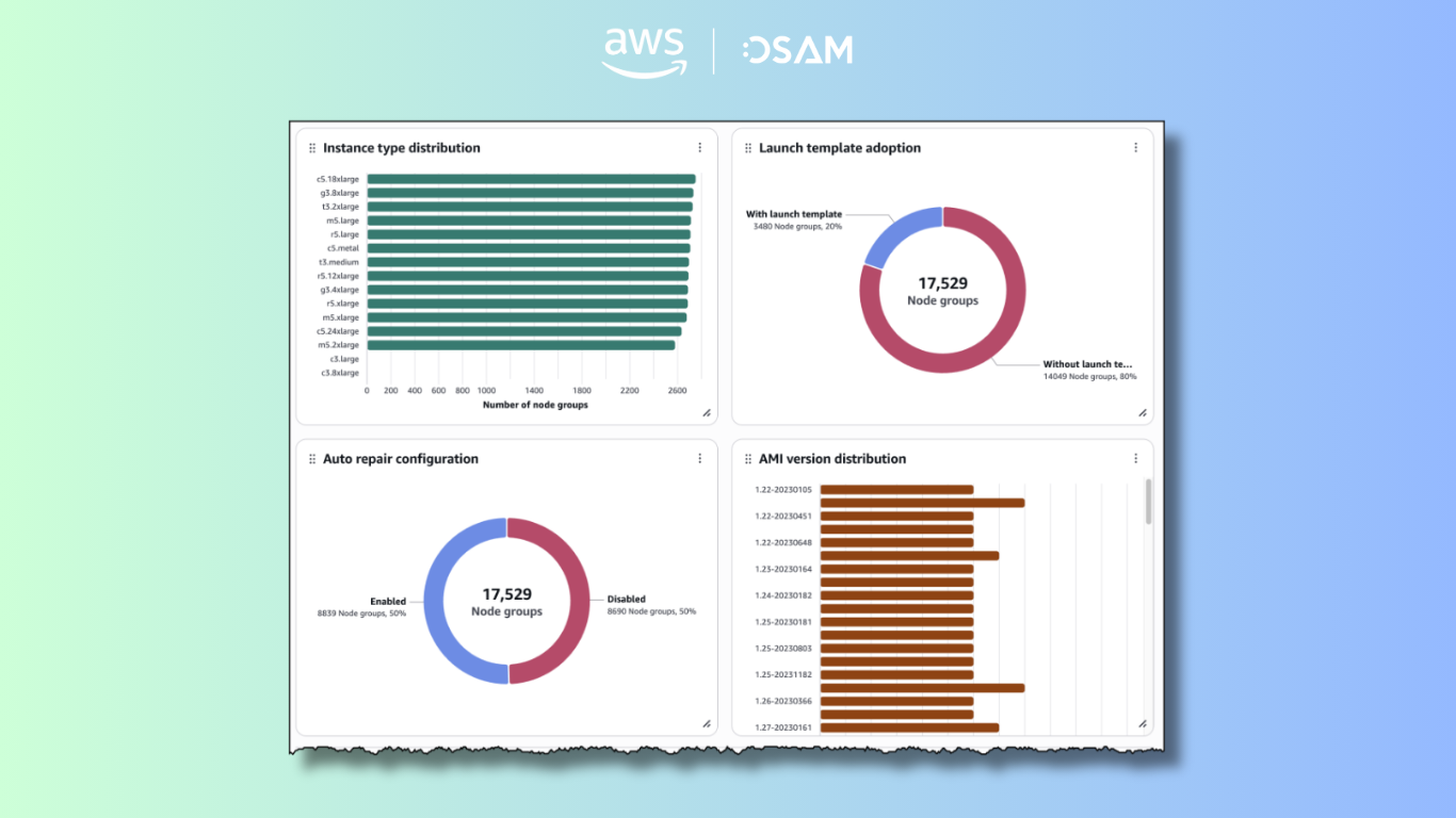 Bạn có thể trực quan hóa các nhóm nút được quản lý của mình theo phân phối loại phiên bản, mẫu khởi chạy, phiên bản AMI, v.v.