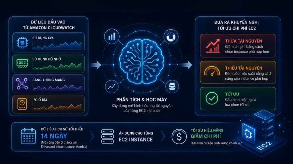 Nguyên lý phân tích dữ liệu của AWS Compute Optimizer trong tối ưu chi phí EC2